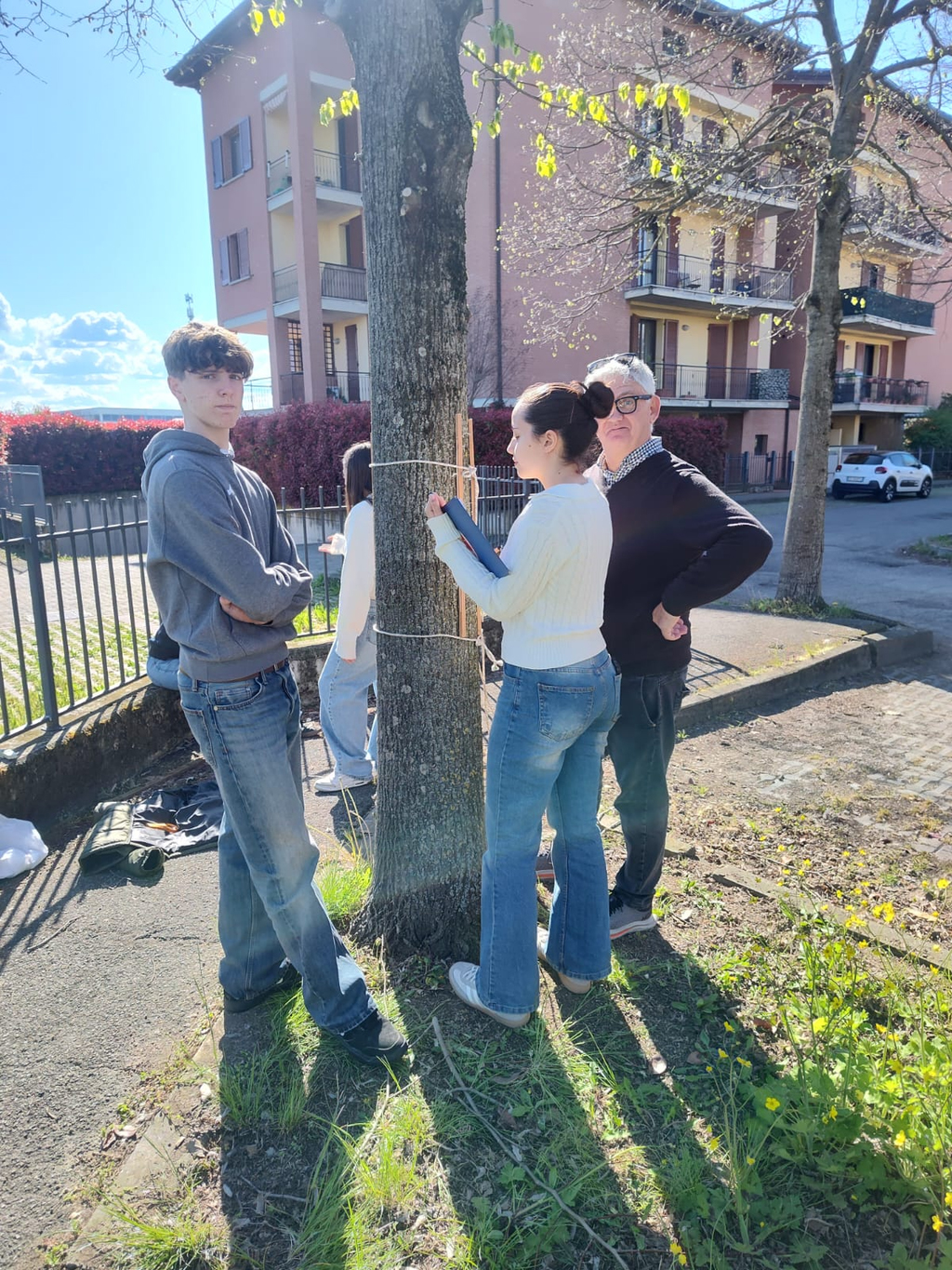Rilevamenti in via livingstone